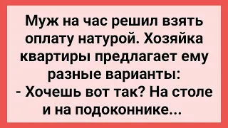 Муж на Час Взял Оплату Натурой! Сборник Свежих Смешных Жизненных Анекдотов!