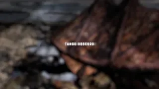 Progressive Rock - Trinity Xperiment - Tango Obscuro - full track - feat. Jost Nickel on drums