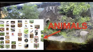 Years old giant vivarium documentary