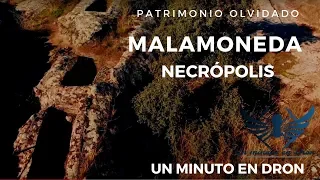 Necrópolis de Malamoneda. Un minuto en dron