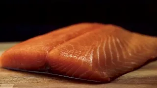 Salmon Stock Video