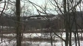 Great Blue Heron Hawk Attack