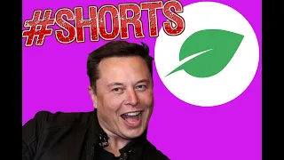 Elon musk Chia #shorts