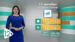 Прогноз погоды в Старом Осколе на воскресенье, 11 сентября