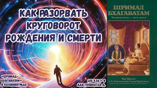 Как разорвать круговорот рождения и смерти. Ади Гопинатха д. ШБ.4.26.7–8