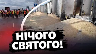 КАДРИ розривають мережу! У Польщі ФЕРМЕРИ знову висипали українське ЗЕРНО / ЖАХ — 160 тонн на землі!