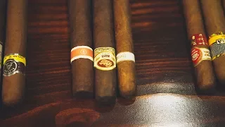 Understanding Cigars