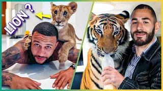 5 Weirdest Pets that Footballers Own