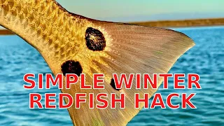 Simple Hack To Find Big Schools Of Winter Redfish [Fishing Report]