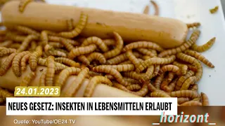 Neue EU-Verordnung erlaubt Insekten in Lebensmitteln