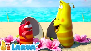 1 hora Larvas en una isla desierta 🌼🌼 Decisión Difícil 🌹🌹 Peliculas infantiles completas en español