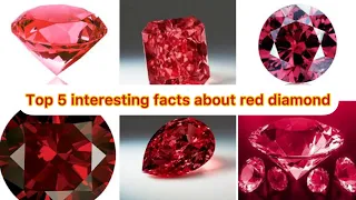 Top 5 interesting and fascinating facts about red diamond | Red diamond facts | HDB TV