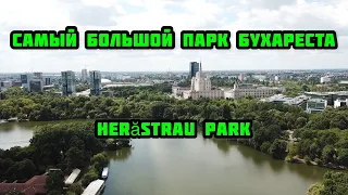 Herăstrau Park, БУХАРЕСТ, Bucuresti