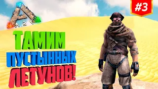 ПРИРУЧЕНИЕ ПУСТЫННЫХ ЛЕТУНОВ!  Выживание на ArkHome x5 PVE Cross/Steam/Epic.