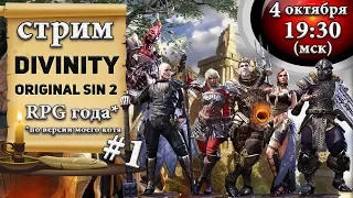 Стрим Divinity Original Sin 2: Лучшая игра года! (*по версии моего кота) let’s play #1