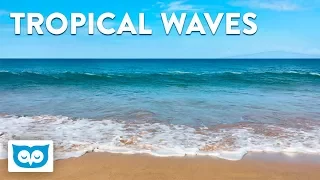Relaxing Waves Crashing on Beach for Sleep -  2 hour Tropical Ocean Relaxation