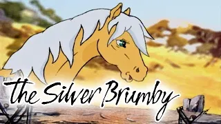 The Silver Brumby 113 - Searching out a Legend (HD - Full Episode) Videos For Kids