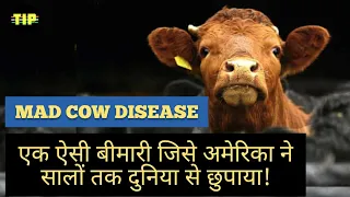What is Mad Cow Disease?