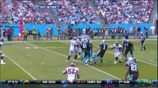 Elvis Dumervil Career Highlights