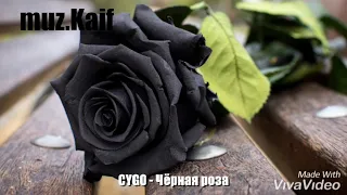 Новинка | CYGO - Чёрная роза
