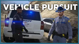 Best Vehicle Pursuit You've Ever Seen in FiveM Roleplay