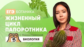 Жизненный цикл папоротника | Биология ЕГЭ 2020 | УМСКУЛ