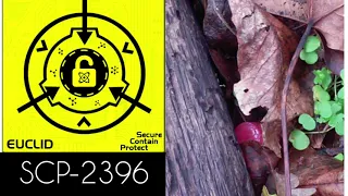 SCP-2396 Г-жа сладость. (SCP Fond)