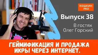 Геймификация и продажа икры через интернет. Запуски в инфобизнесе. #К038