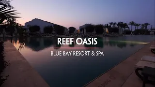 Reef Oasis Blue Bay 5