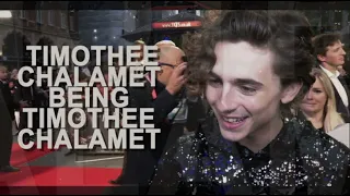 timothee chalamet being timothee chalamet