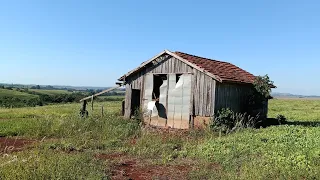 Esposa Foge de Casa com o Padeiro Abandonando o Marido, Que Perde a Cabeça Fazendo Uma Loucura