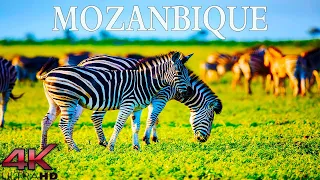 Mozambique In 4K UHD - Relaxation Film - Relaxing Music With Beautiful Nature Videos - 4K Video