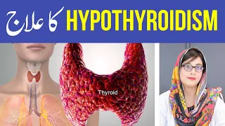 The #1 Most Important Nutrient for Hypothyroidism / Top Hypothyroid Diet Tips