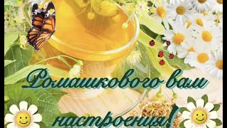 🌼Нежного дня, как букет ромашек  🌼Красивая музыкальная открытка 🌼