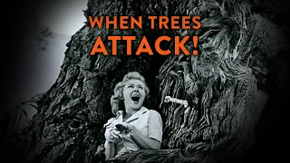 When Trees Attack! More Epic Chainsaw & Best Tree Cutting Fails