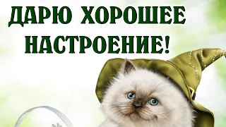 Хорошего настроения, друзья! Музыкальная открытка! Позитивчик для самых лучших друзей!