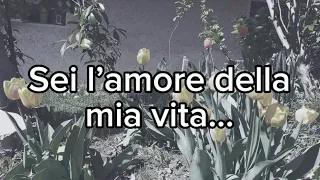 Sei l’amore della mia vita ❤️