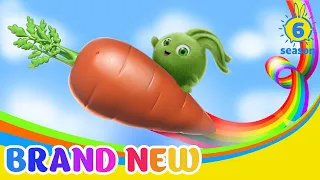 SUNNY BUNNIES - The Tale of the Carrot | BRAND NEW EPISODE | Season 6 | Cartoons for Children