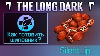 The Long Dark: Как готовить шиповник?