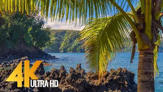 Tropical Beaches of Maui Island - 4K Relaxation Video with Waves Sounds and Birds Song - Part 3