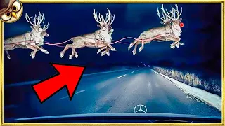 20 Christmas Characters Caught on Camera in Real Life