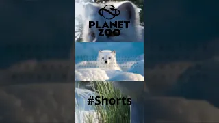 #shorts Planet Zoo Arctic Fox Facts || North America Animal Pack