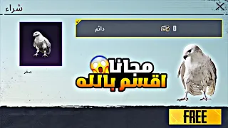 كيفية الحصول على الصقر مجانا 😱 طريقة الحصول على الصقر مجانا ثغرة سريه لم يخبرك بها احد 🔥 2023