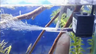 Como oxigenar mi acuario con efecto venturi / how to oxygenate my aquarium with venturi effect