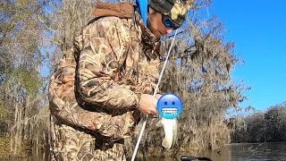 Catching River Bass in COLD conditions! Savannah River