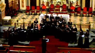 Vilnius University women choir "VIRGO". Karl Jenkins "Adiemus"