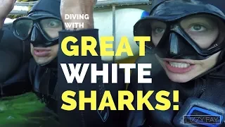 Cage Diving with Great White Sharks in South Africa