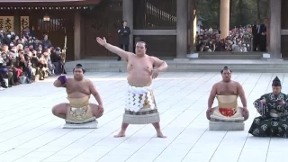 Japan celebrate new Sumo Grand Champion