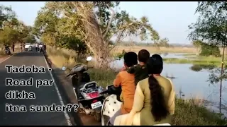 Tadoba aakar dekho ekbaar | Tadoba national park | Let's go vlog & lifestyle