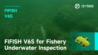 Fishery Underwater Inspection | QYSEA FIFISH V6S Underwater Drone Robot